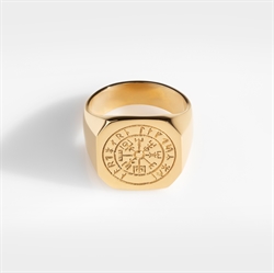 Northern Legacy BIG Vegvisir Gold