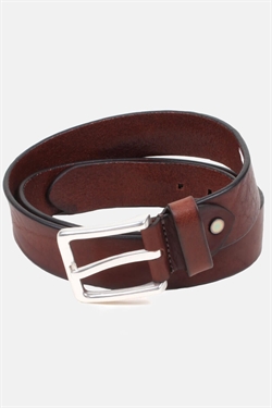 Saddler 78429 Bælt Brown