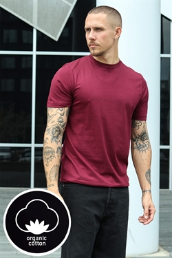 Liebhaveri Bazo Burgundy