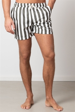 Clean Cut Swim Shorts Bottle Stripe
